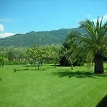 Da Pio 4*