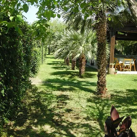 فندق مبيت وإفطار Da Pio 4*