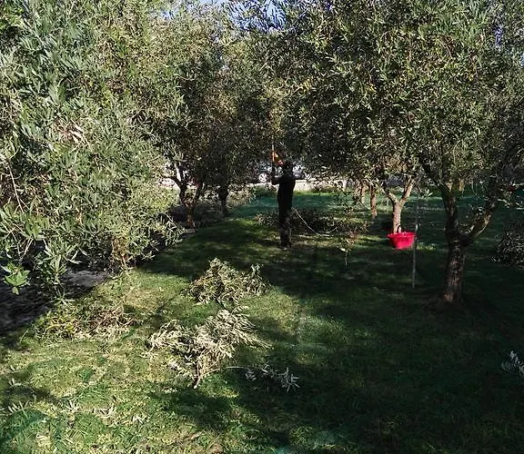 فندق مبيت وإفطار Da Pio بيتراسانتا