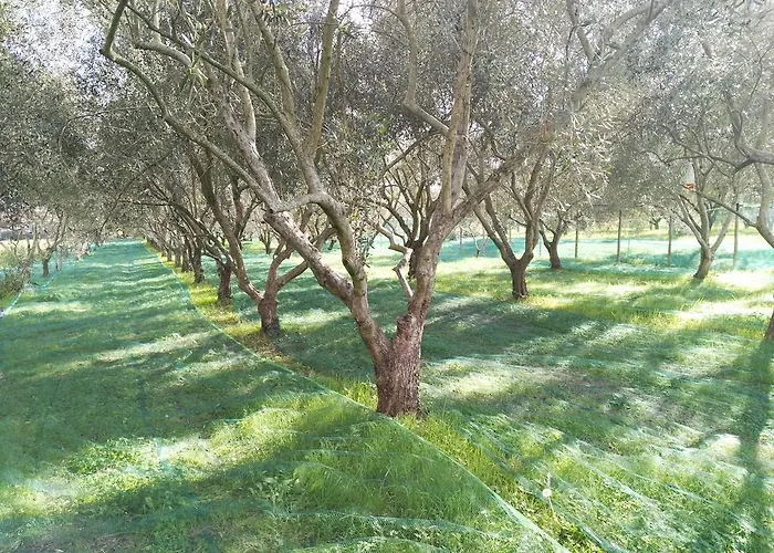 Da Pio