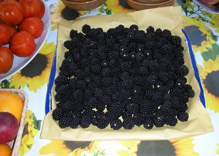 فندق مبيت وإفطار Da Pio 4*