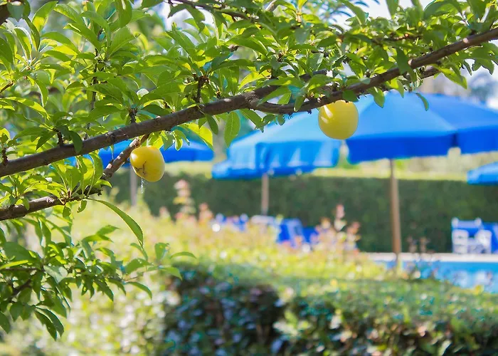 Da Pio فندق مبيت وإفطار 4*