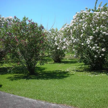 Da Pio Bed & Breakfast Pietrasanta