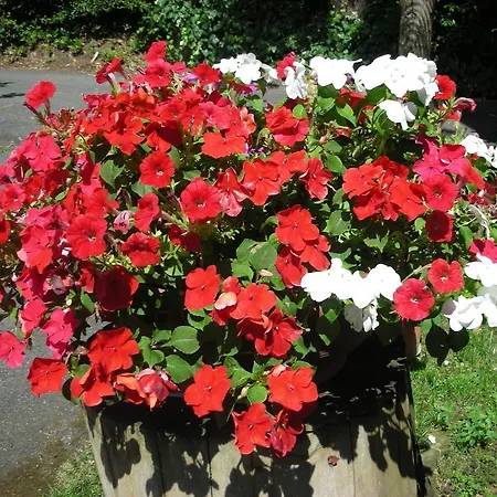 B&B Da Pio Pietrasanta