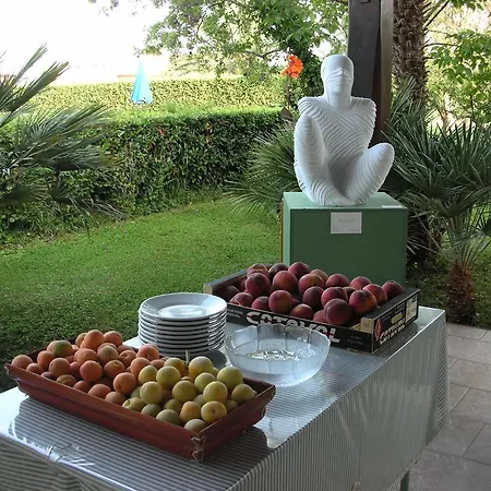 Bed & Breakfast Da Pio Pietrasanta