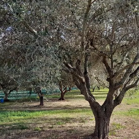 Bed & Breakfast Da Pio Pietrasanta