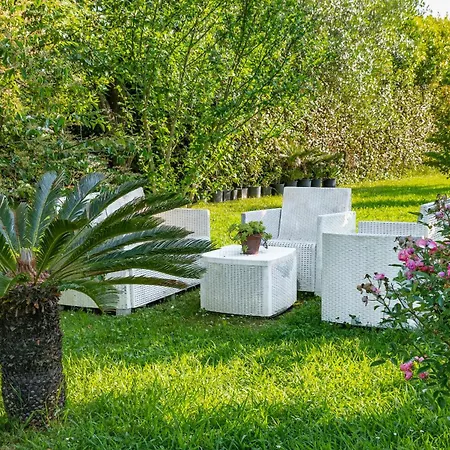 B&B Da Pio Bed & Breakfast Pietrasanta