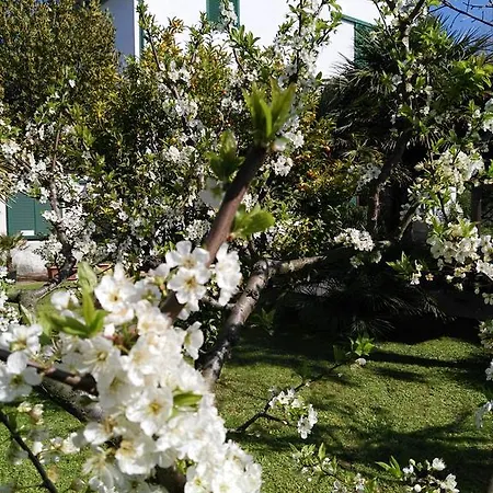 Bed and Breakfast Da Pio 4*