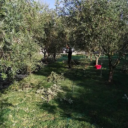 Bed and Breakfast Da Pio Pietrasanta