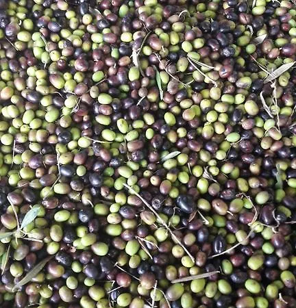 Bed and Breakfast Da Pio 4*