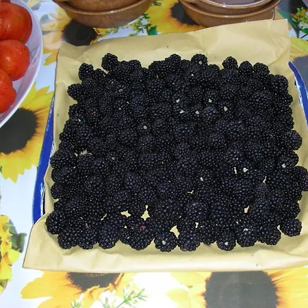 Bed and Breakfast Da Pio 4*