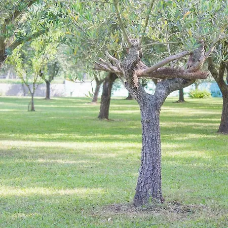 Da Pio Nocleg ze śniadaniem 4*