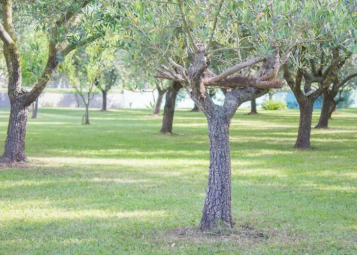 Da Pio Bed and breakfast 4*