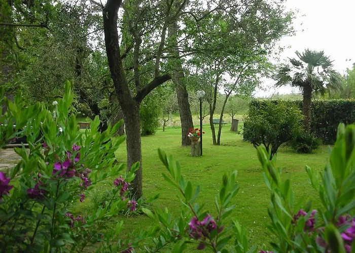 Da Pio 4* Pietrasanta