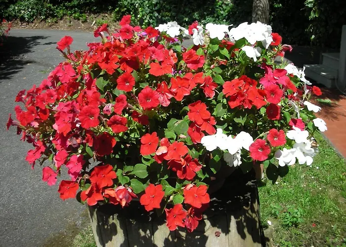 Da Pio פיאטרה סנטה