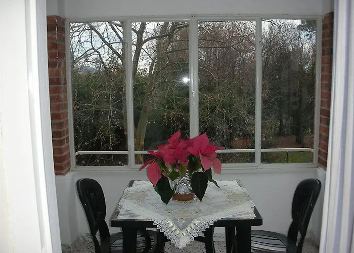 Da Pio 4* פיאטרה סנטה