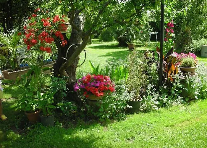 לינה וארוחת בוקר Da Pio